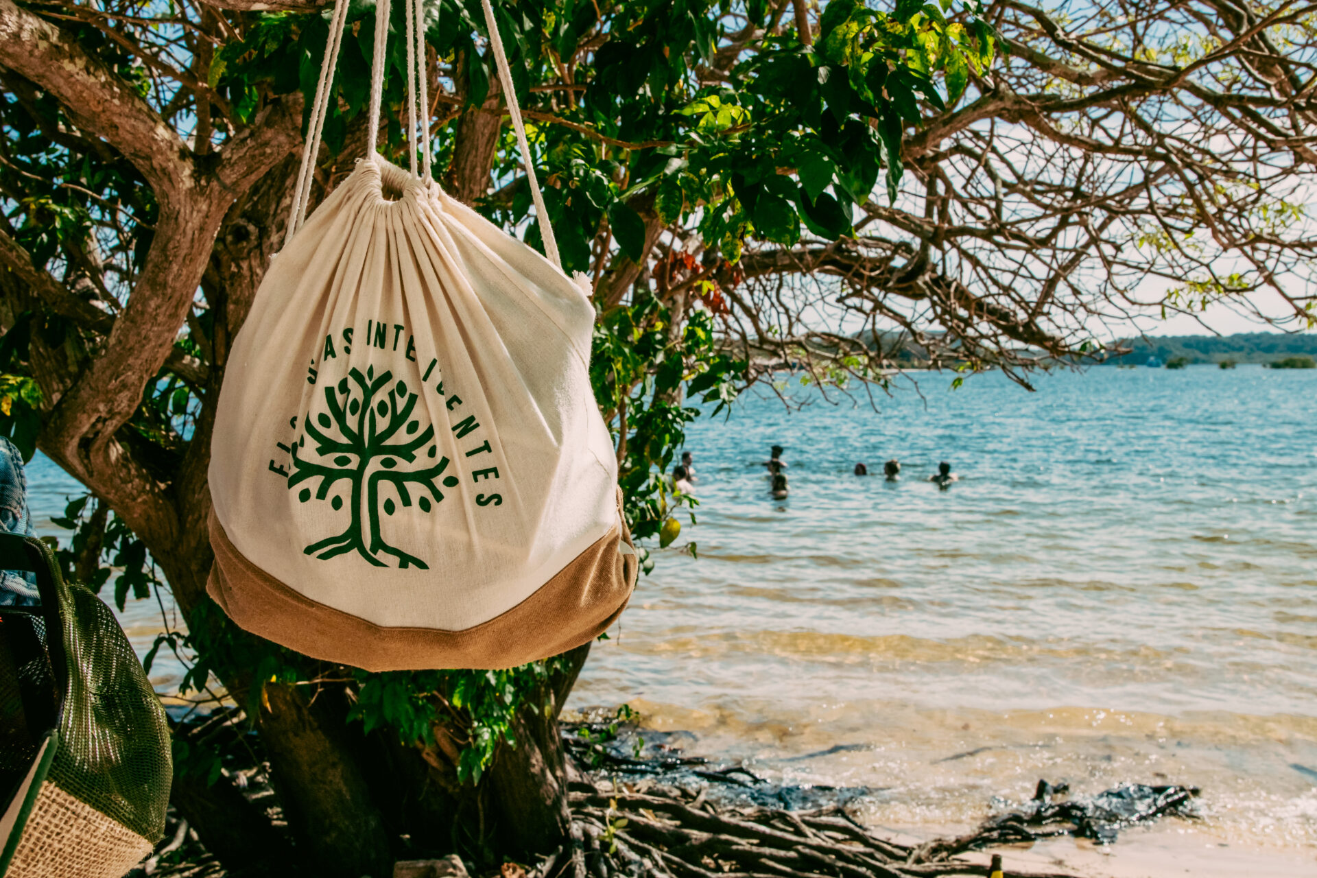 Florestas Inteligentes 2025_Alter do Chão-3