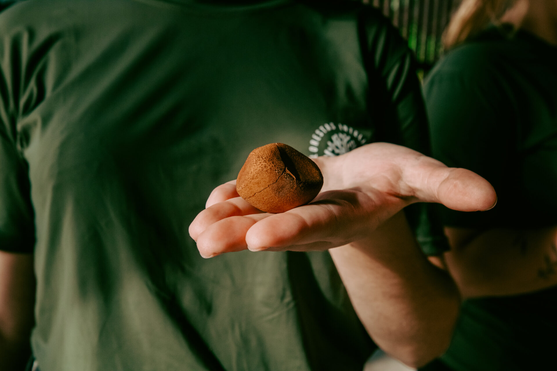 Florestas Inteligentes 2025_São Domingos-10