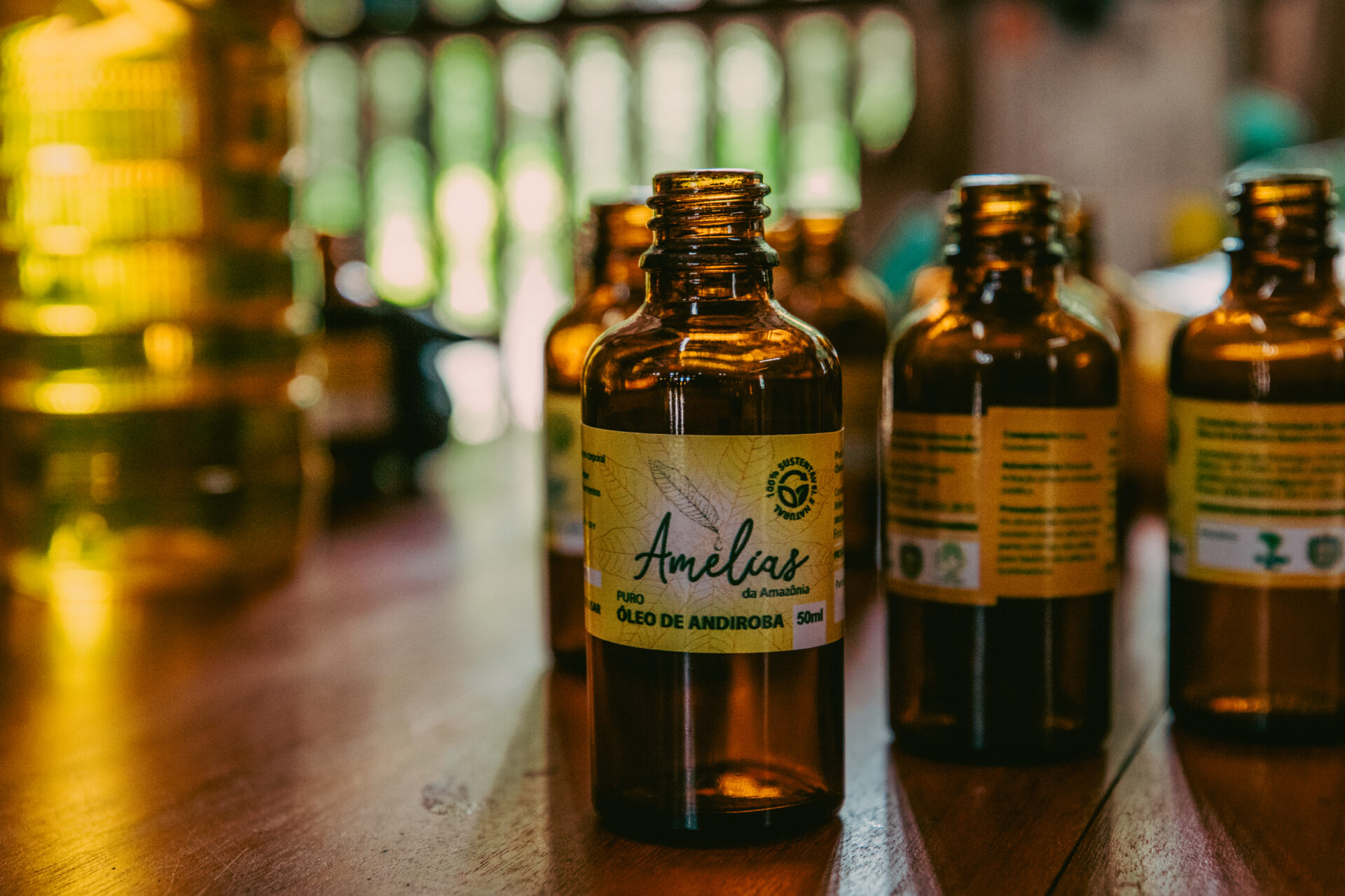 Florestas Inteligentes 2025_São Domingos-102