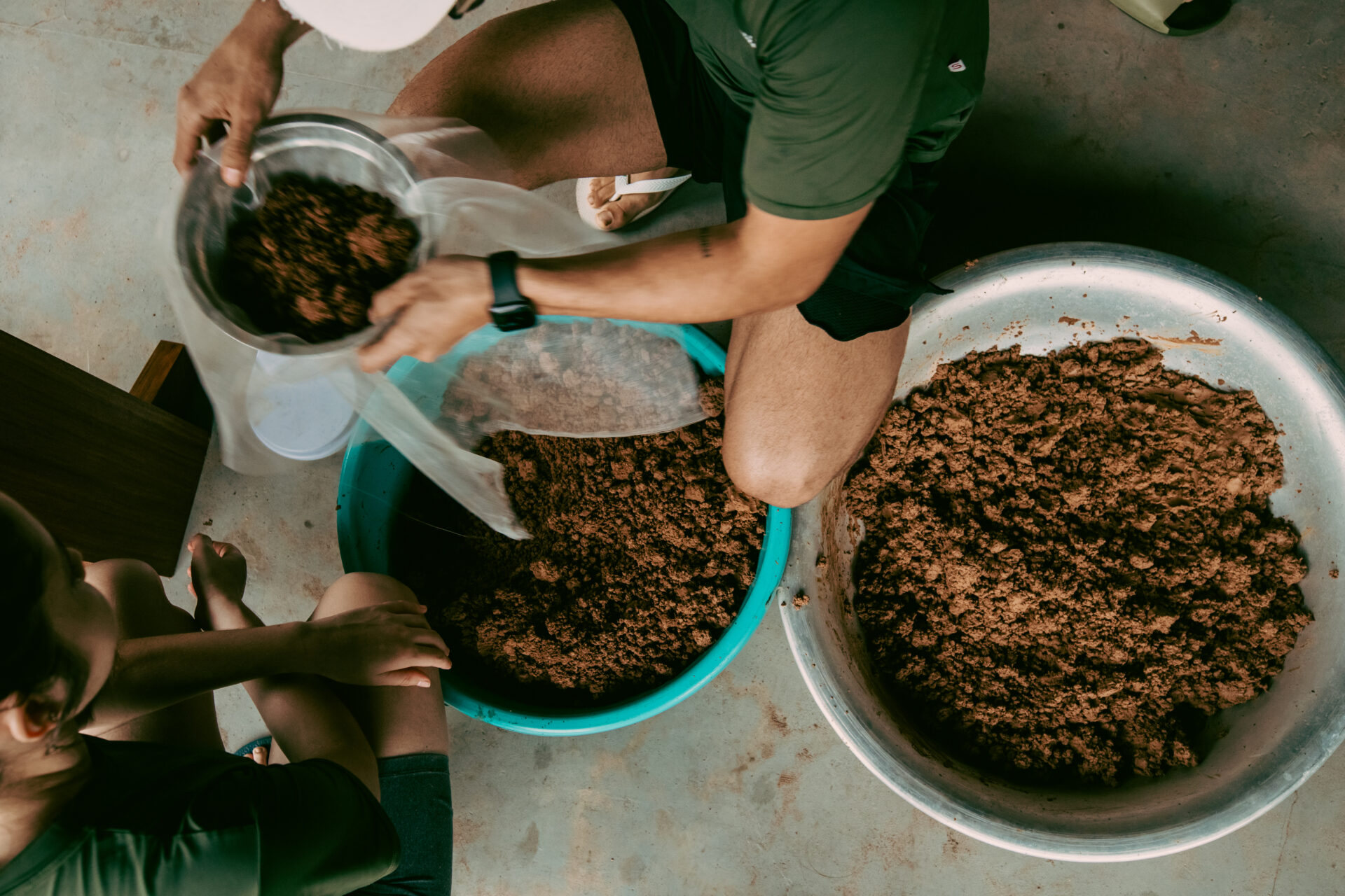 Florestas Inteligentes 2025_São Domingos-39