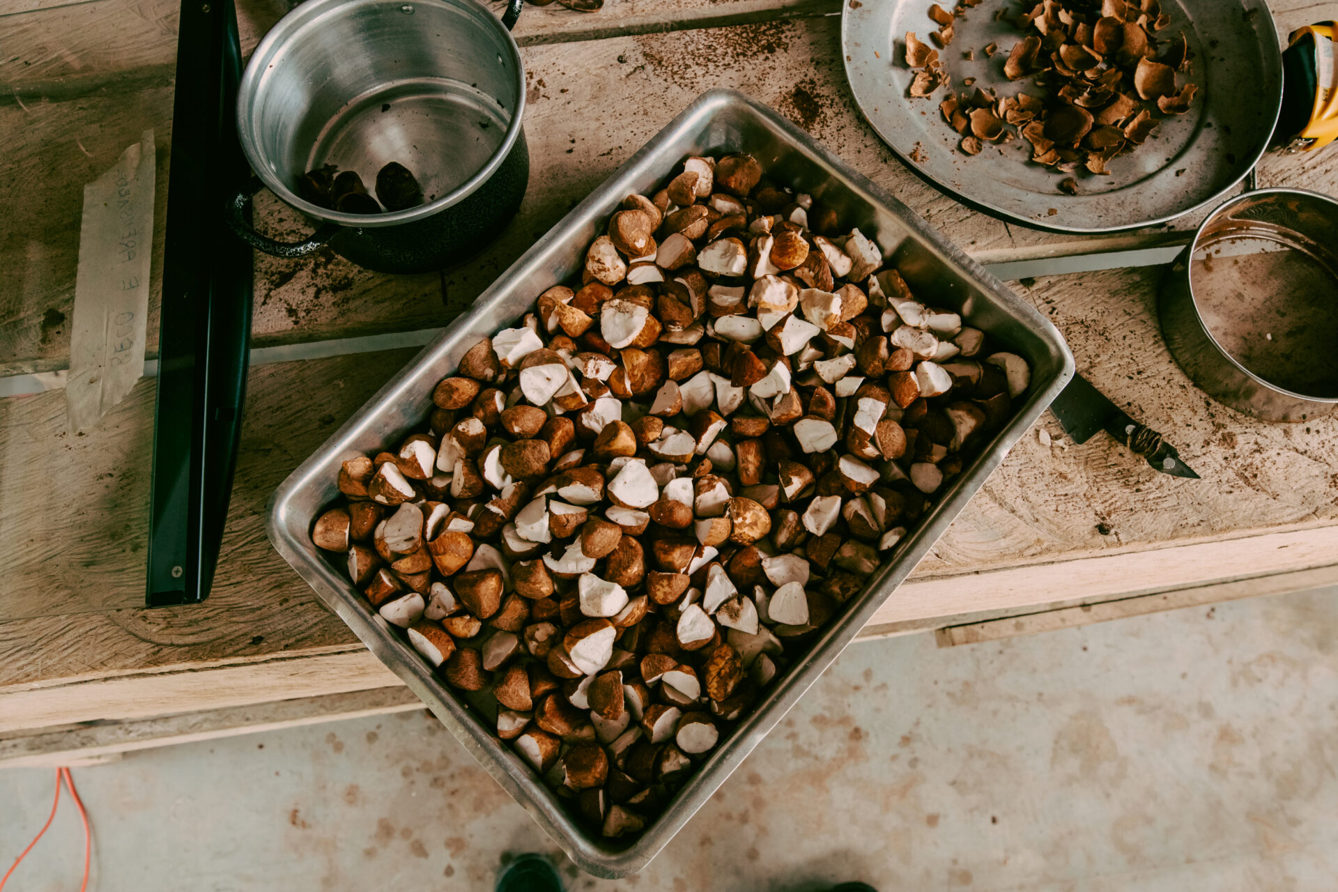 Florestas Inteligentes 2025_São Domingos-59