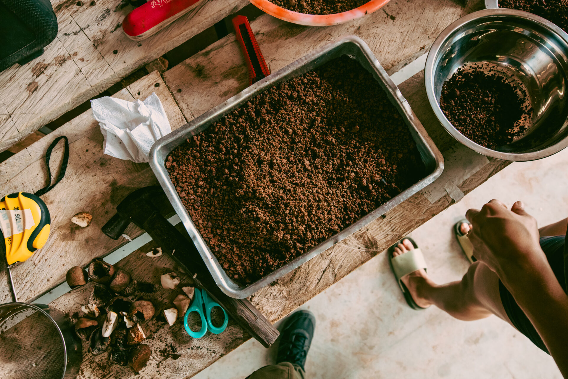 Florestas Inteligentes 2025_São Domingos-60